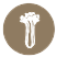 iconAipo